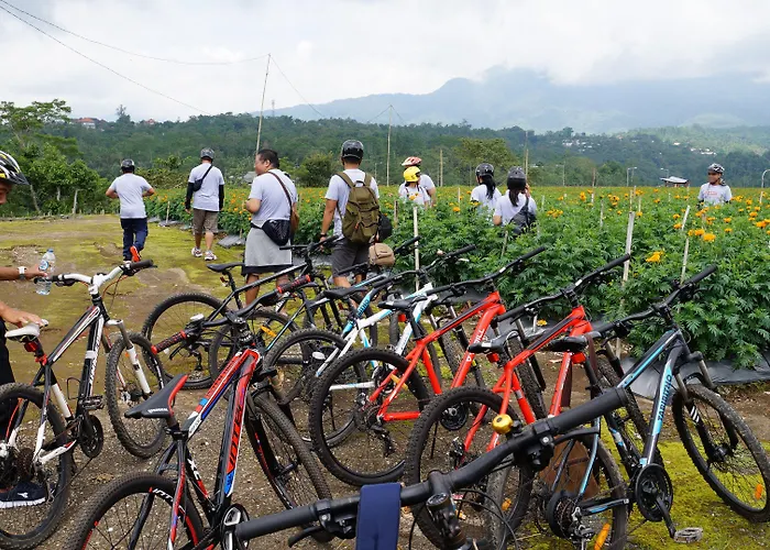 Bagus Agro Pelaga