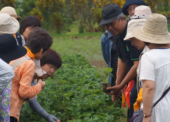 Bagus Agro Pelaga Plaga