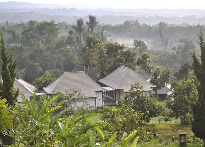 Bagus Agro Pelaga 3* Plaga